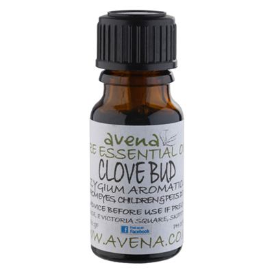 Clove Leaf Essential Oil (Eugenia caryophyllus)
